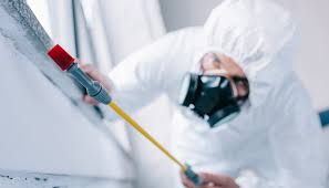 Best Pest Control for Multi-Family Homes  in Saugerties South, NY